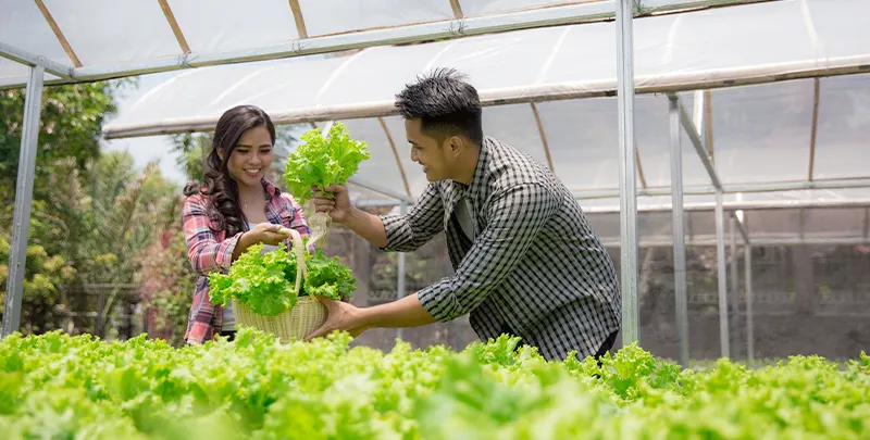 Agro Industry